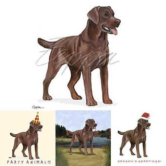 Product - Zeppa Studios, in Pearisburg, VA Misc Photographers