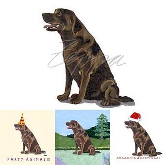 Product - Zeppa Studios, in Pearisburg, VA Misc Photographers