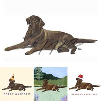 Product - Zeppa Studios, in Pearisburg, VA Misc Photographers