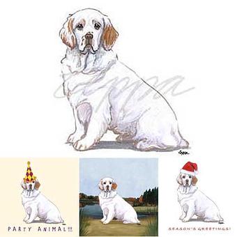 Product - Zeppa Studios, in Pearisburg, VA Misc Photographers