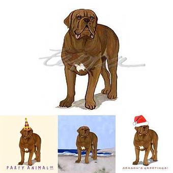 Product - Zeppa Studios, in Pearisburg, VA Misc Photographers