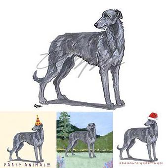 Product - Zeppa Studios, in Pearisburg, VA Misc Photographers