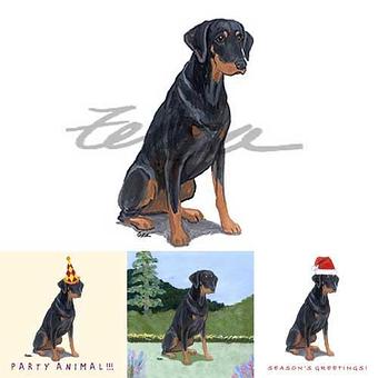 Product - Zeppa Studios, in Pearisburg, VA Misc Photographers