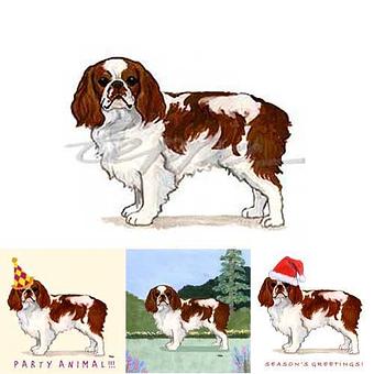 Product - Zeppa Studios, in Pearisburg, VA Misc Photographers