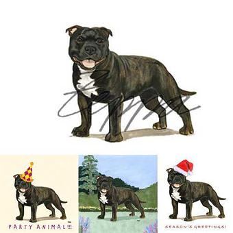 Product - Zeppa Studios, in Pearisburg, VA Misc Photographers