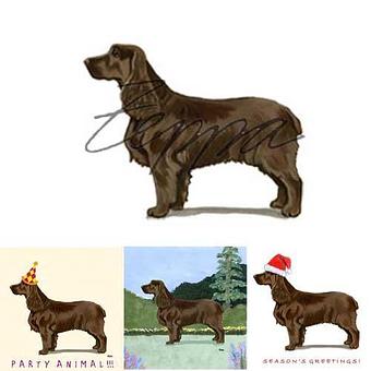 Product - Zeppa Studios, in Pearisburg, VA Misc Photographers