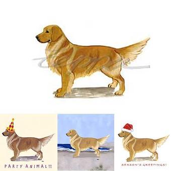 Product - Zeppa Studios, in Pearisburg, VA Misc Photographers