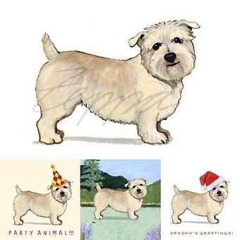 Product - Zeppa Studios, in Pearisburg, VA Misc Photographers