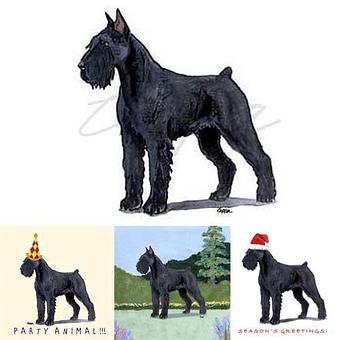 Product - Zeppa Studios, in Pearisburg, VA Misc Photographers