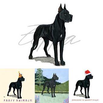 Product - Zeppa Studios, in Pearisburg, VA Misc Photographers