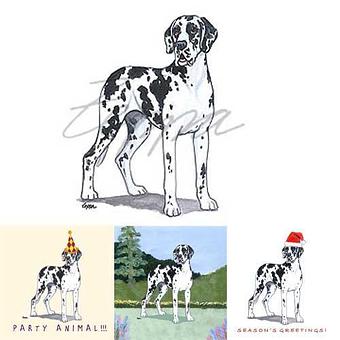 Product - Zeppa Studios, in Pearisburg, VA Misc Photographers