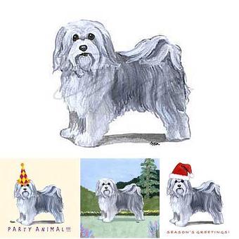 Product - Zeppa Studios, in Pearisburg, VA Misc Photographers