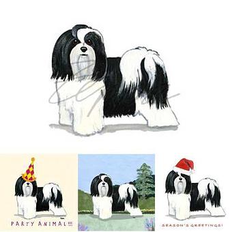 Product - Zeppa Studios, in Pearisburg, VA Misc Photographers