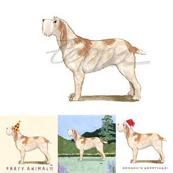 Product - Zeppa Studios, in Pearisburg, VA Misc Photographers