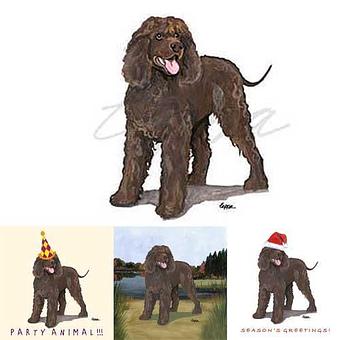 Product - Zeppa Studios, in Pearisburg, VA Misc Photographers