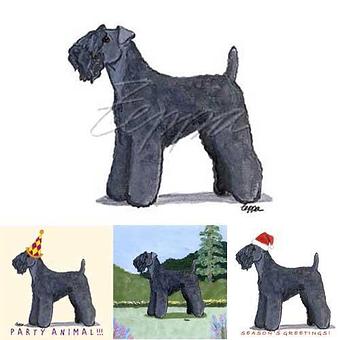 Product - Zeppa Studios, in Pearisburg, VA Misc Photographers