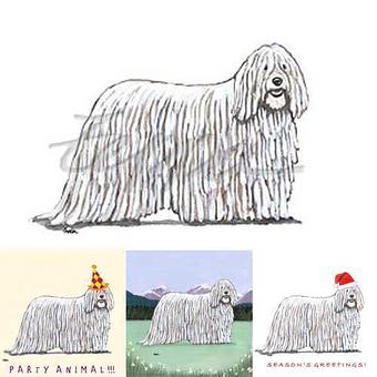 Product - Zeppa Studios, in Pearisburg, VA Misc Photographers