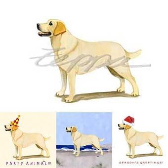 Product - Zeppa Studios, in Pearisburg, VA Misc Photographers