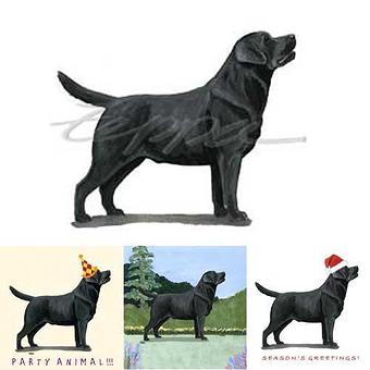 Product - Zeppa Studios, in Pearisburg, VA Misc Photographers