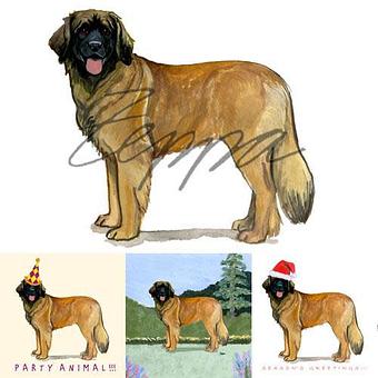 Product - Zeppa Studios, in Pearisburg, VA Misc Photographers