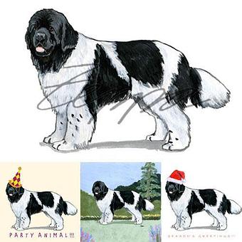 Product - Zeppa Studios, in Pearisburg, VA Misc Photographers