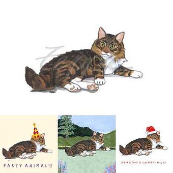 Product - Zeppa Studios, in Pearisburg, VA Misc Photographers