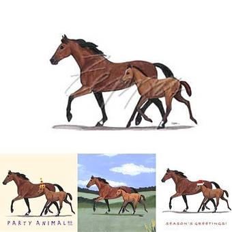 Product - Zeppa Studios, in Pearisburg, VA Misc Photographers