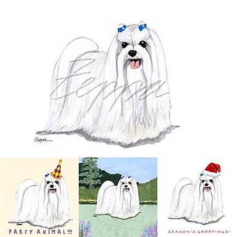 Product - Zeppa Studios, in Pearisburg, VA Misc Photographers