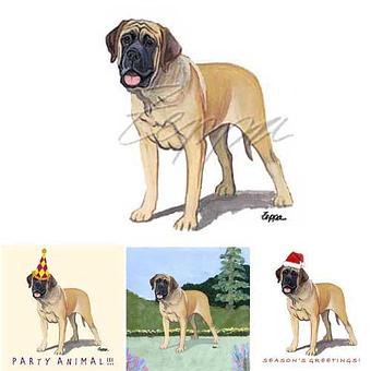 Product - Zeppa Studios, in Pearisburg, VA Misc Photographers