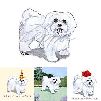 Product - Zeppa Studios, in Pearisburg, VA Misc Photographers