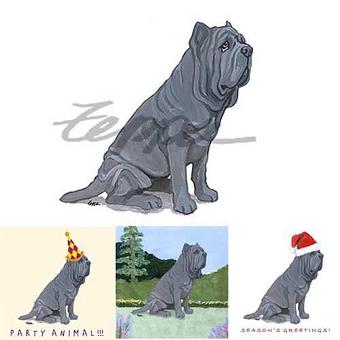 Product - Zeppa Studios, in Pearisburg, VA Misc Photographers