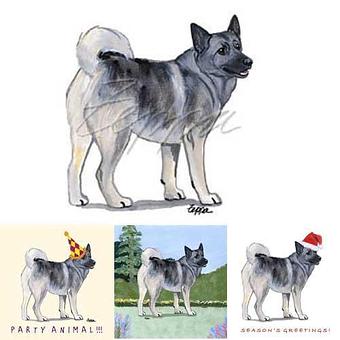 Product - Zeppa Studios, in Pearisburg, VA Misc Photographers