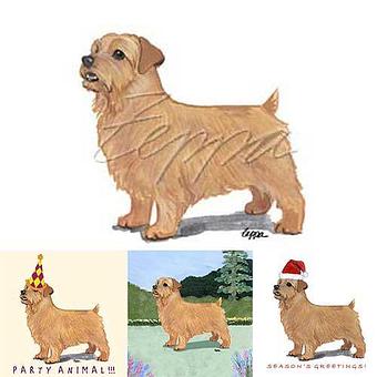 Product - Zeppa Studios, in Pearisburg, VA Misc Photographers