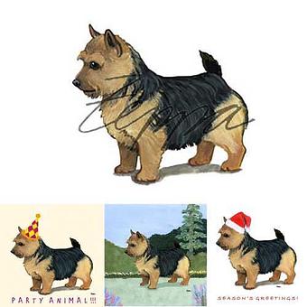 Product - Zeppa Studios, in Pearisburg, VA Misc Photographers