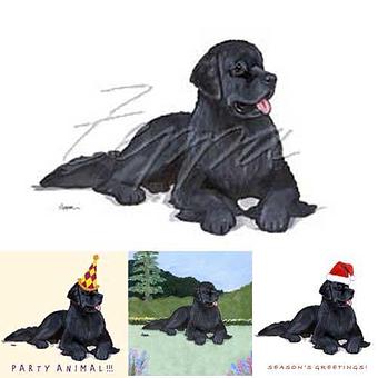 Product - Zeppa Studios, in Pearisburg, VA Misc Photographers