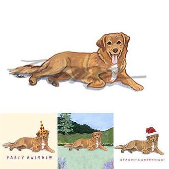 Product - Zeppa Studios, in Pearisburg, VA Misc Photographers