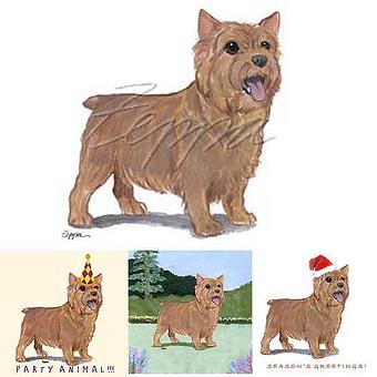 Product - Zeppa Studios, in Pearisburg, VA Misc Photographers