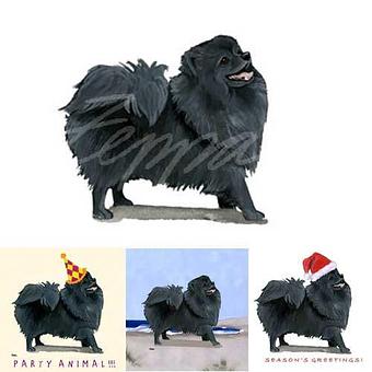 Product - Zeppa Studios, in Pearisburg, VA Misc Photographers