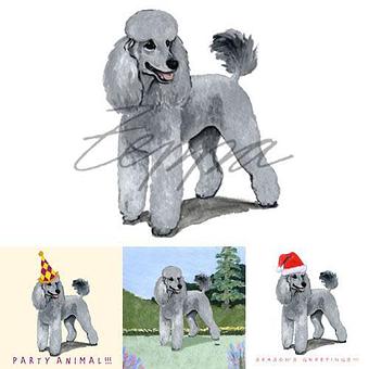 Product - Zeppa Studios, in Pearisburg, VA Misc Photographers