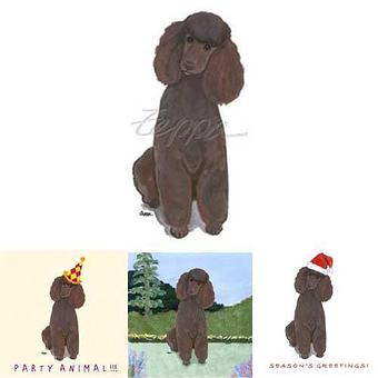 Product - Zeppa Studios, in Pearisburg, VA Misc Photographers