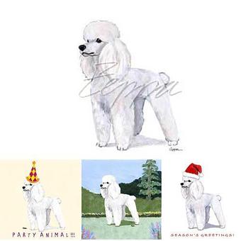 Product - Zeppa Studios, in Pearisburg, VA Misc Photographers