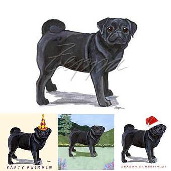 Product - Zeppa Studios, in Pearisburg, VA Misc Photographers