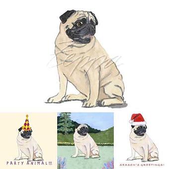 Product - Zeppa Studios, in Pearisburg, VA Misc Photographers