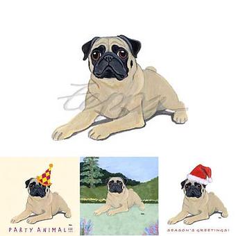 Product - Zeppa Studios, in Pearisburg, VA Misc Photographers