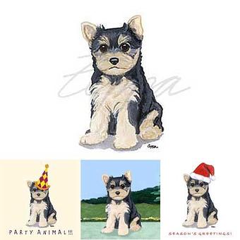 Product - Zeppa Studios, in Pearisburg, VA Misc Photographers