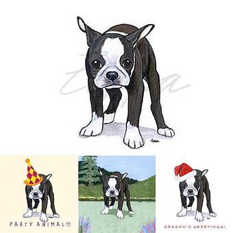 Product - Zeppa Studios, in Pearisburg, VA Misc Photographers