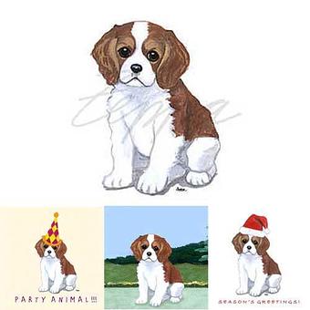 Product - Zeppa Studios, in Pearisburg, VA Misc Photographers