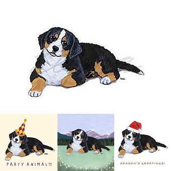 Product - Zeppa Studios, in Pearisburg, VA Misc Photographers