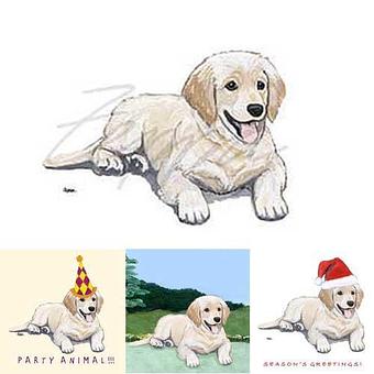 Product - Zeppa Studios, in Pearisburg, VA Misc Photographers