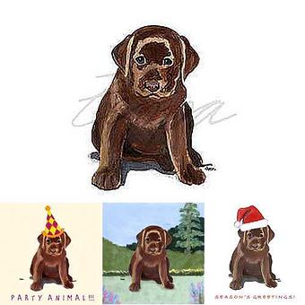 Product - Zeppa Studios, in Pearisburg, VA Misc Photographers